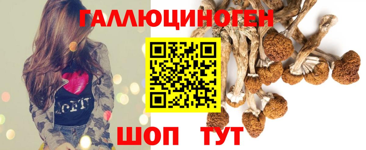 Галлюциногенные грибы Magic Shrooms  Галлюциногенные грибы MAGIC MUSHROOMS  Туапсе  даркнет сайт  Вход с VPN 